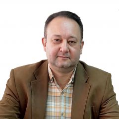 معاون پروژه ها
