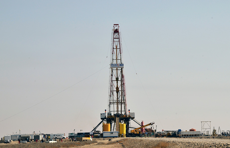 rig 203 s